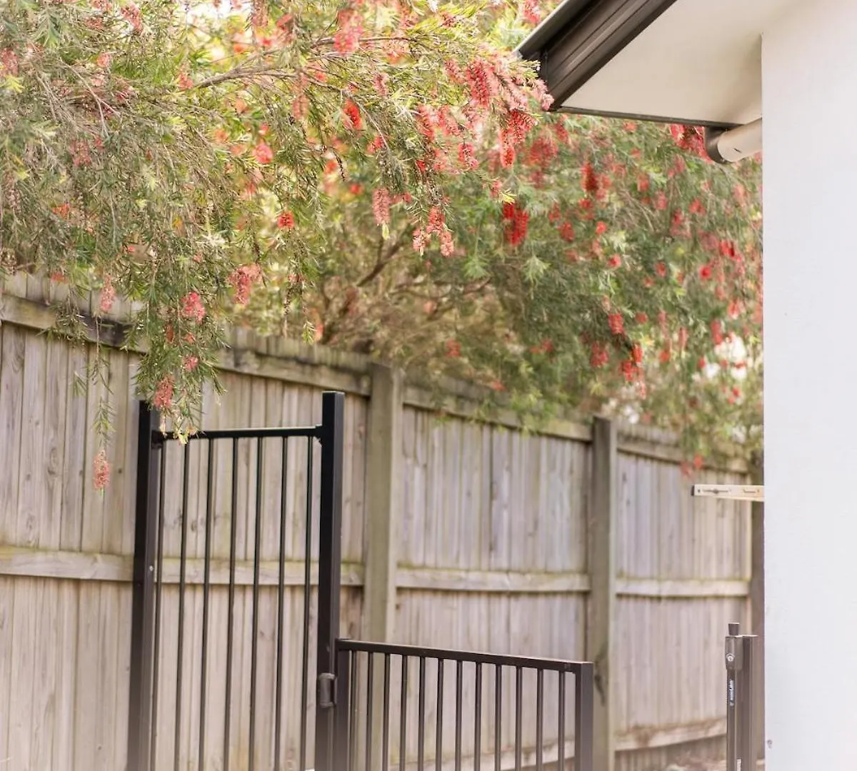 Semesterbostad Coomera Gem Duplex 2- Cute & Cosy Home Close To Theme Park Guldkusten Australien